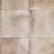 Tempaper The Collector's Study Peel and Stick Wallpaper by Jeremiah Brent, 60 sq. ft.
